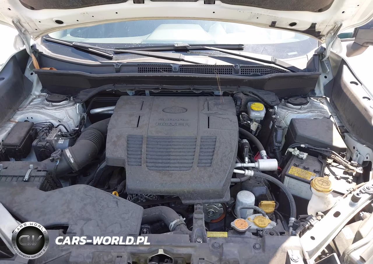 2024 Subaru Forester Wilderness VIN:JF2SKAJC6RH402008 - 10