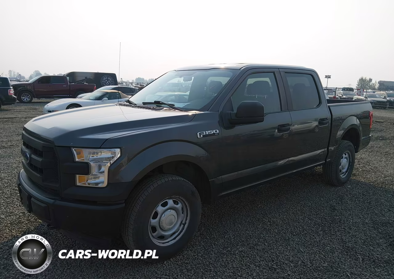 2017 Ford F-150 Xl VIN:1FTEW1EF5HKE26175 - 2