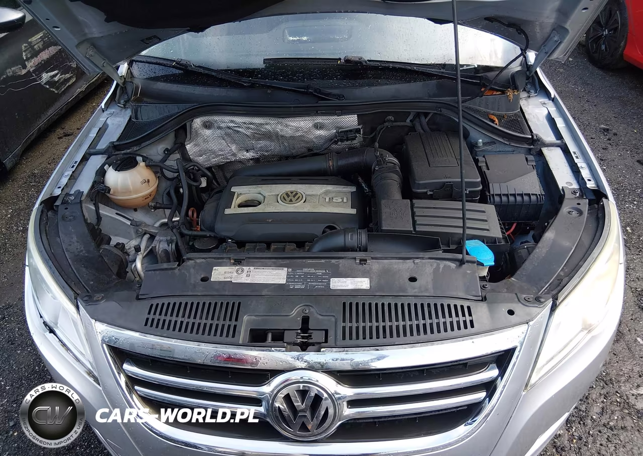 2011 Volkswagen Tiguan S VIN:WVGAV7AXXBW558590 - 10