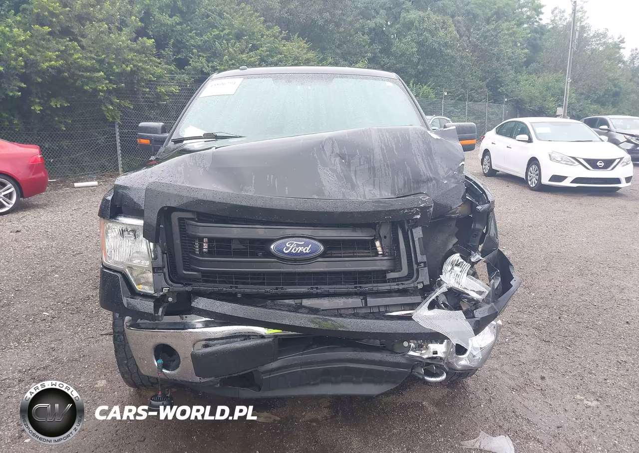 2014 Ford F-150 Xlt VIN:1FTFW1ET4EKG56103 - 12