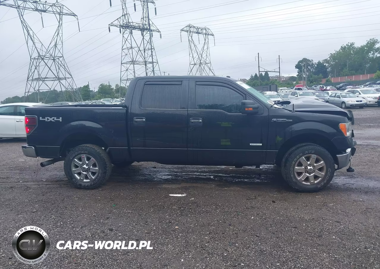 2014 Ford F-150 Xlt VIN:1FTFW1ET4EKG56103 - 13