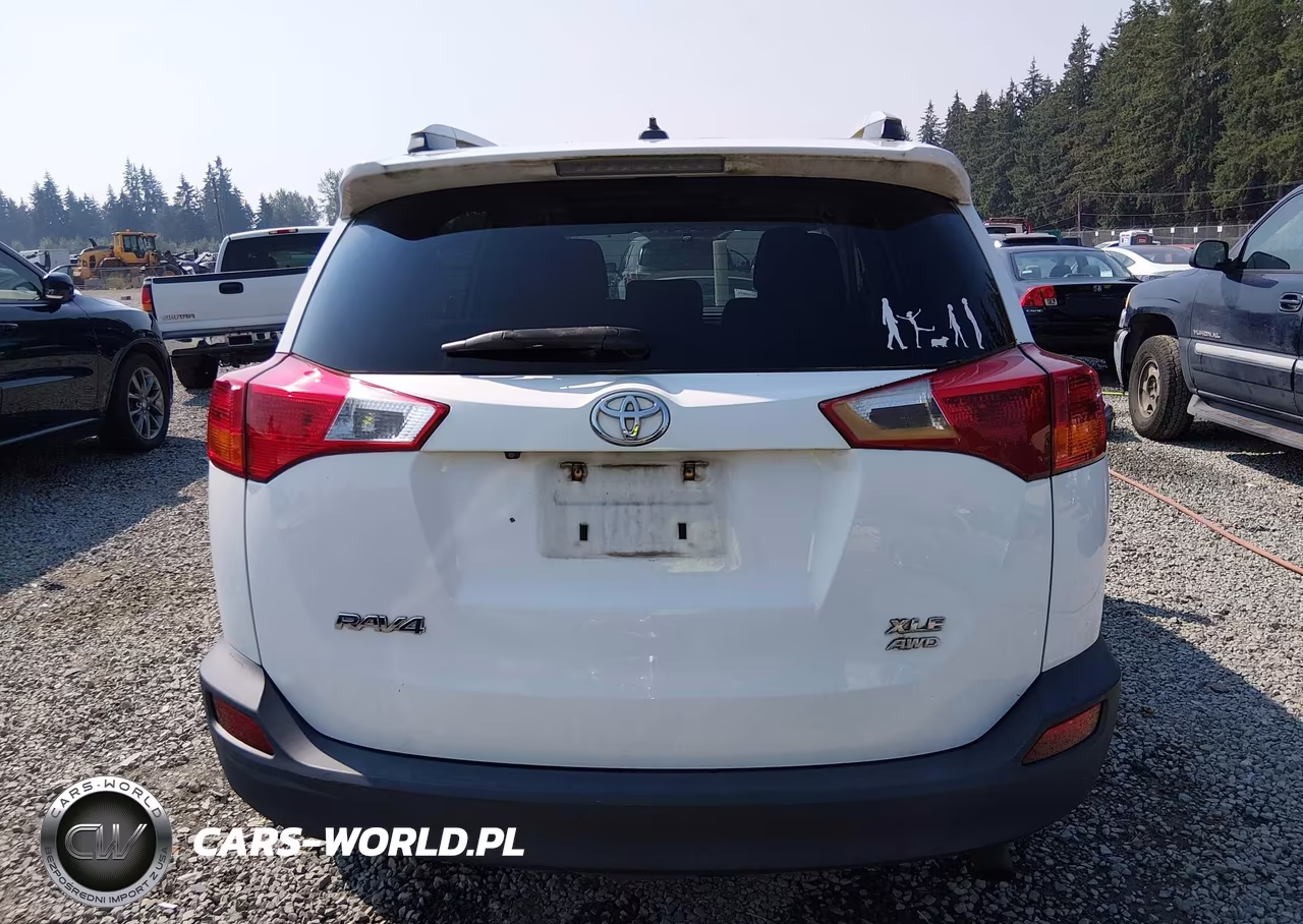 2015 Toyota Rav4 Xle VIN:2T3RFREV5FW303651 - 17