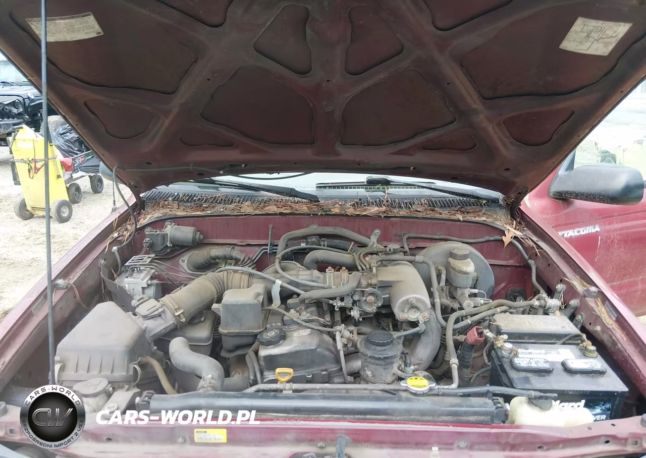 2004 Toyota Tacoma Prerunner VIN:5TENM92N94Z321239 - 10