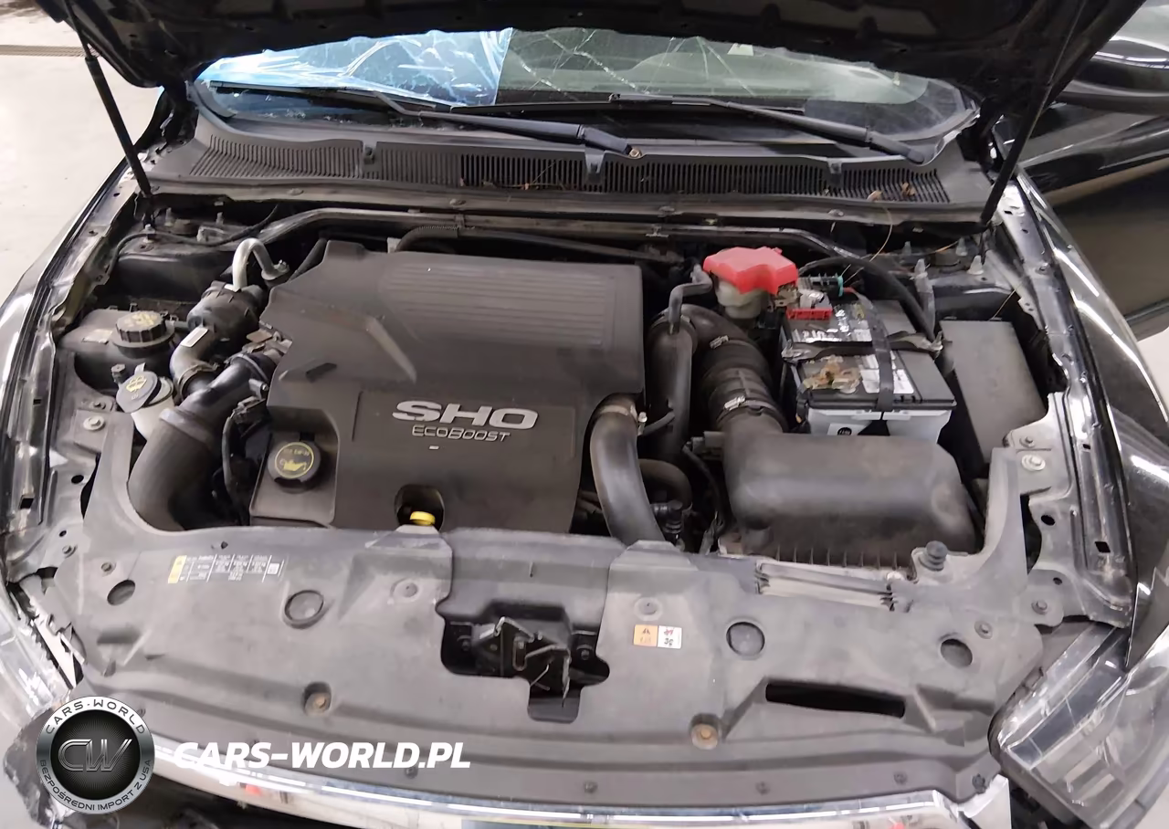 2017 Ford Taurus Sho VIN:1FAHP2KT3HG127822 - 10