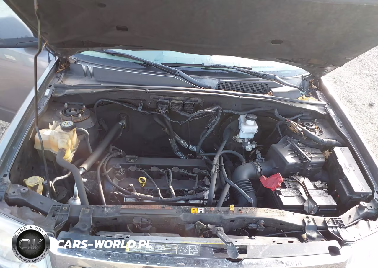 2009 Ford Escape Xlt VIN:1FMCU93789KB21631 - 10