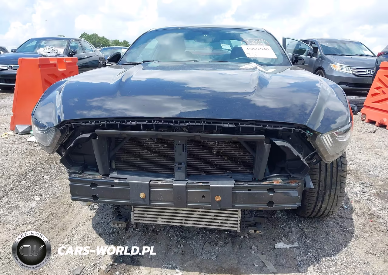 2015 Ford Mustang Ecoboost VIN:1FA6P8TH5F5433627 - 13