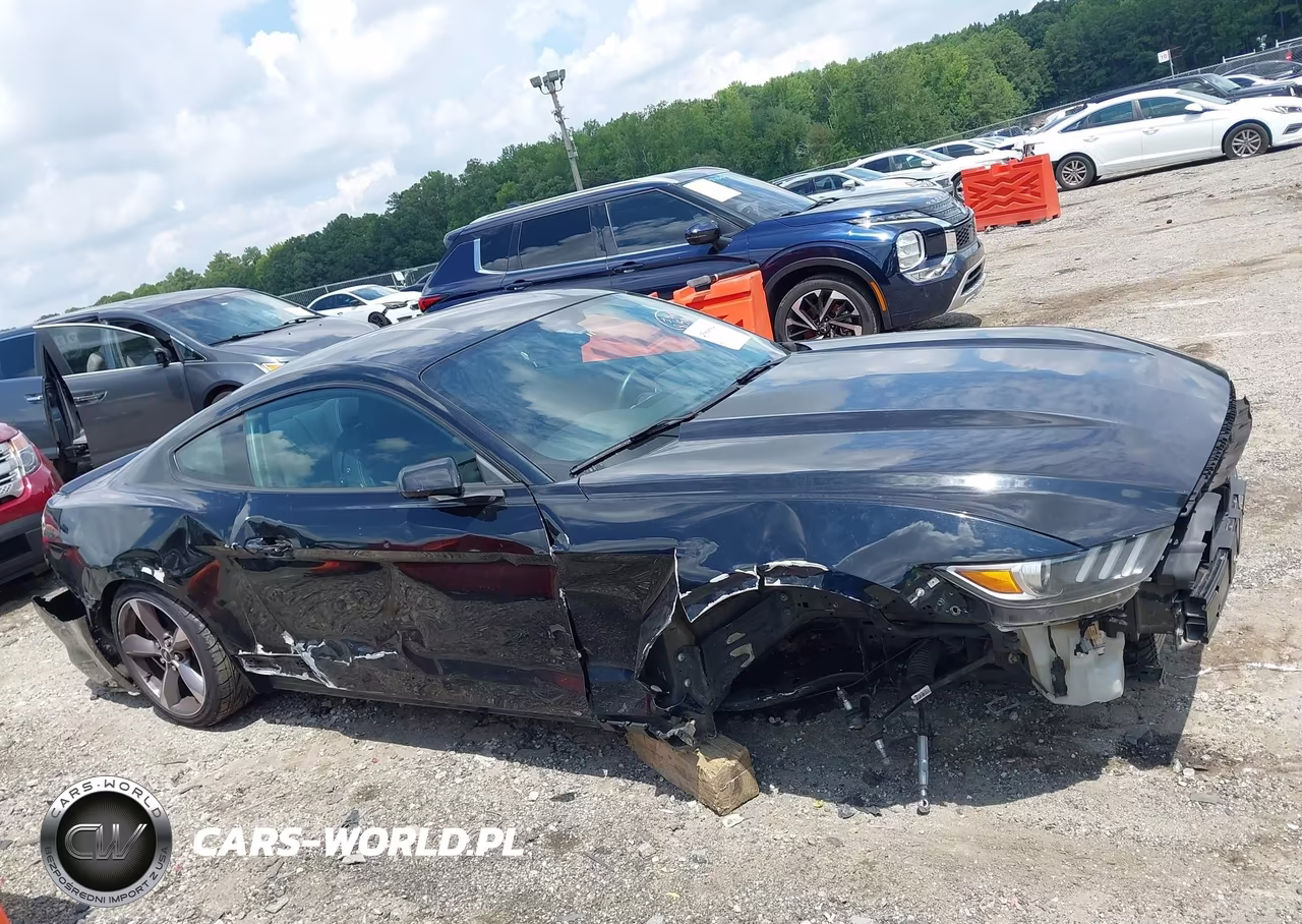 2015 Ford Mustang Ecoboost VIN:1FA6P8TH5F5433627 - 14