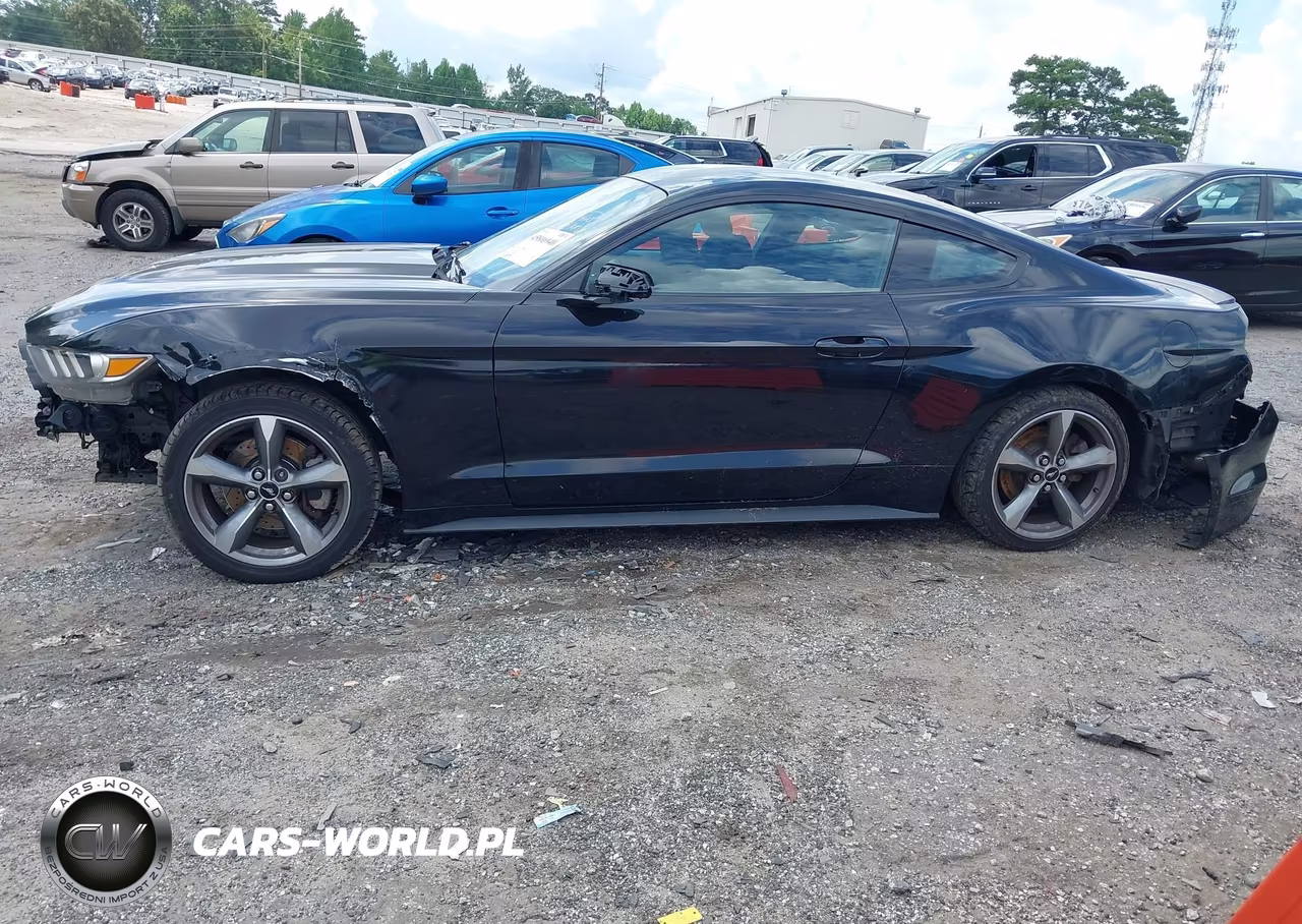 2015 Ford Mustang Ecoboost VIN:1FA6P8TH5F5433627 - 15