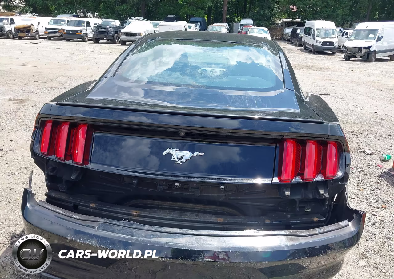 2015 Ford Mustang Ecoboost VIN:1FA6P8TH5F5433627 - 17