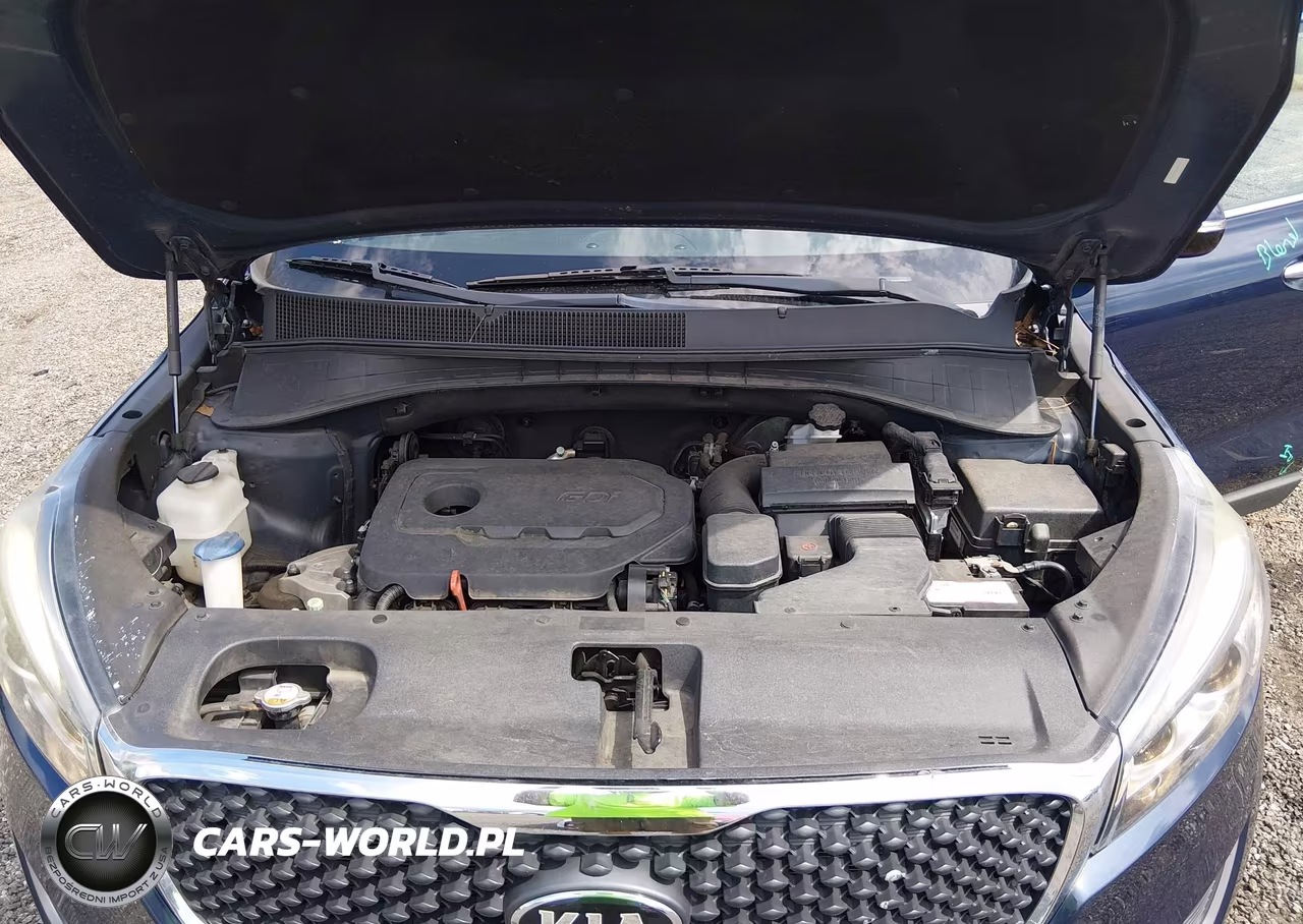 2017 Kia Sorento 2.4L Lx VIN:5XYPG4A35HG334749 - 10
