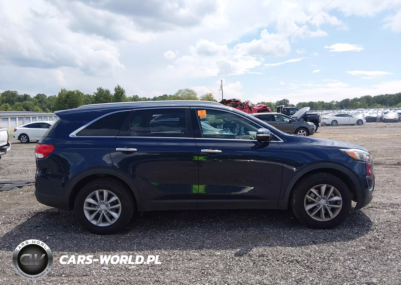 2017 Kia Sorento 2.4L Lx VIN:5XYPG4A35HG334749 - 13