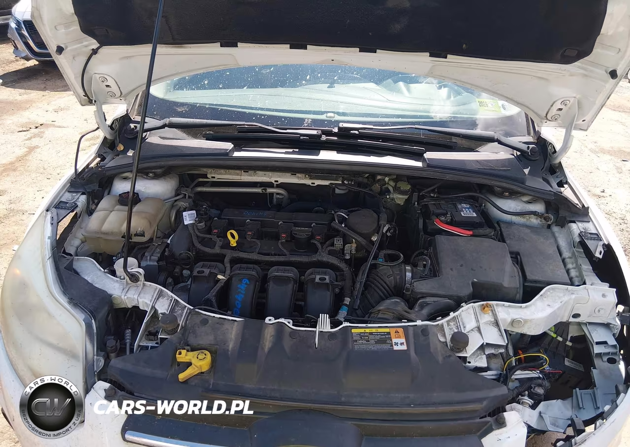 2014 Ford Focus Se VIN:1FADP3K2XEL265162 - 10