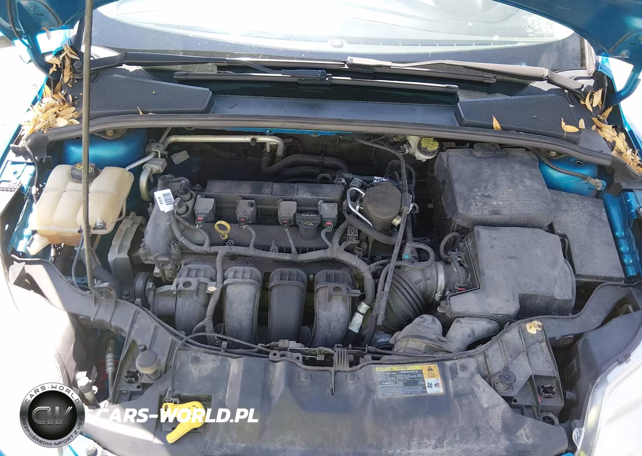 2014 Ford Focus Se VIN:1FADP3F29EL361018 - 10