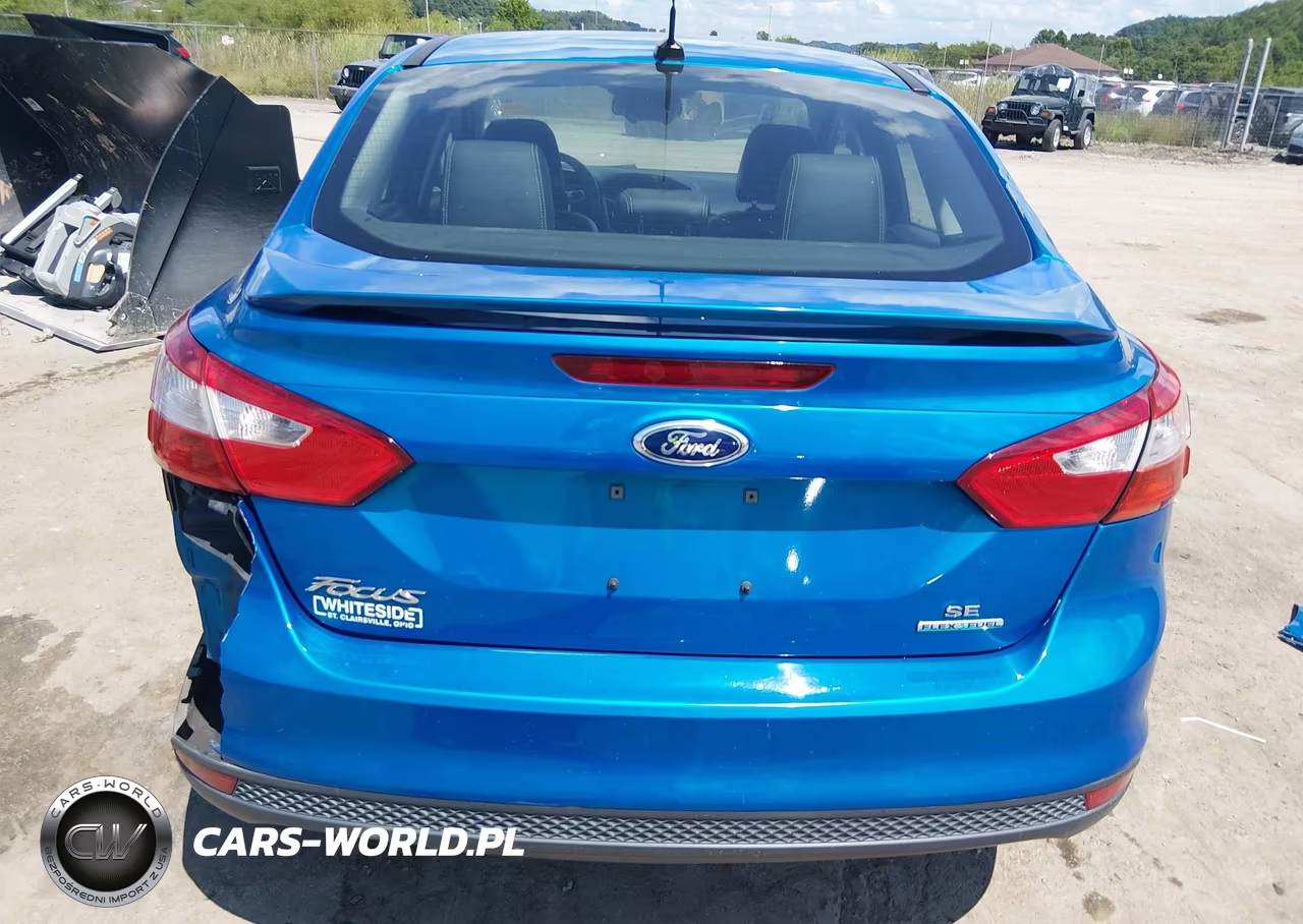2014 Ford Focus Se VIN:1FADP3F29EL361018 - 17