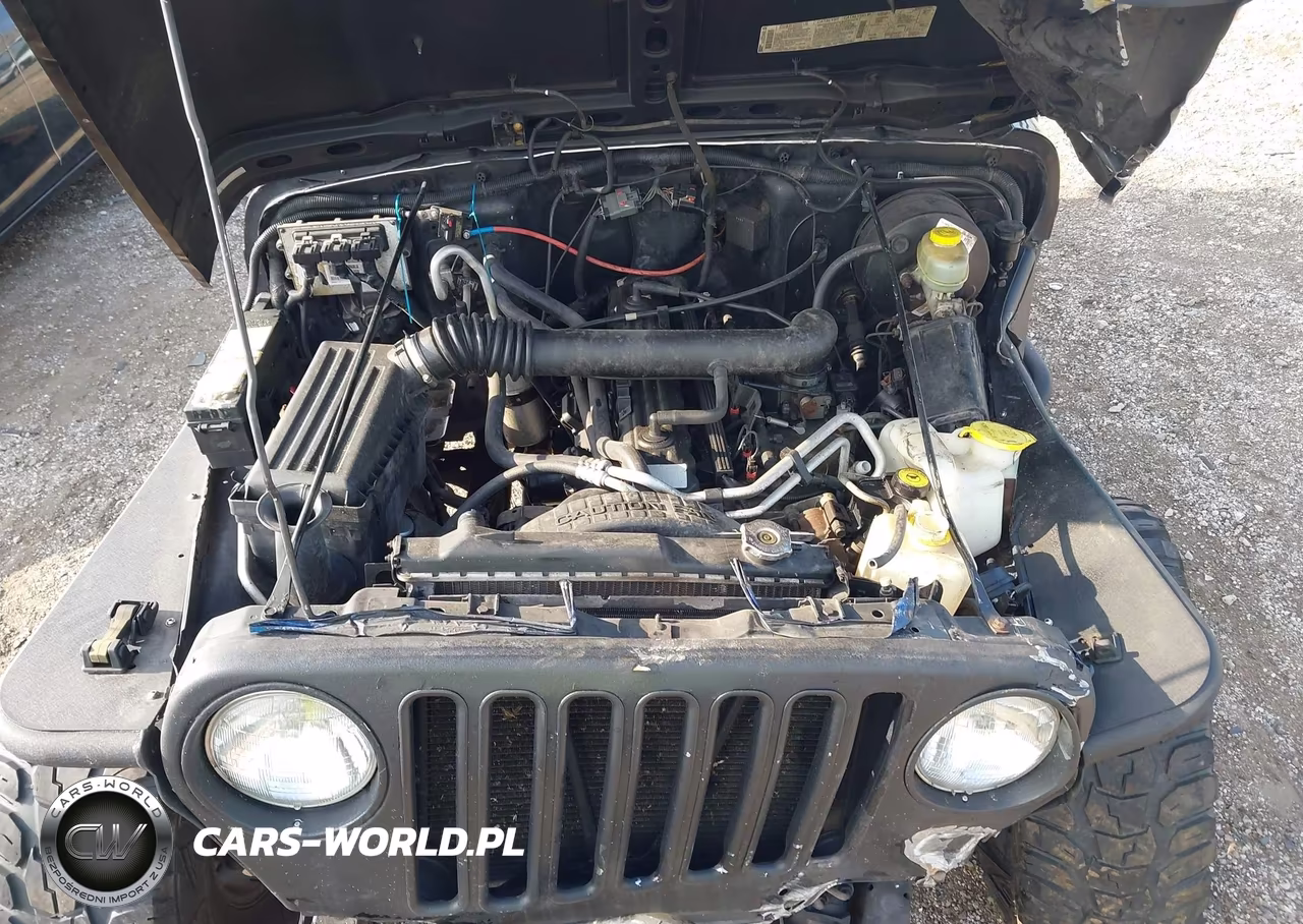 2000 Jeep Wrangler Sahara VIN:1J4FA59S7YP702662 - 10
