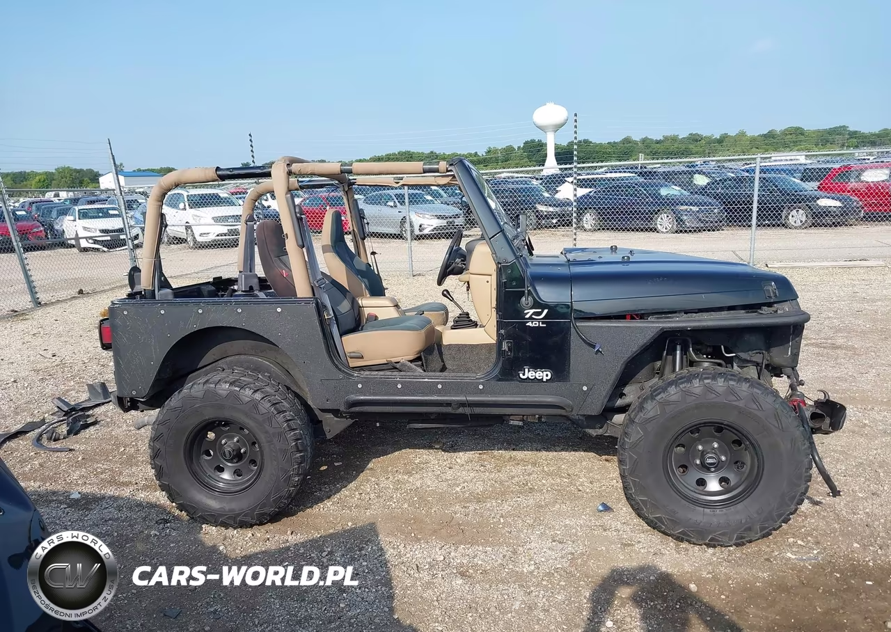 2000 Jeep Wrangler Sahara VIN:1J4FA59S7YP702662 - 14