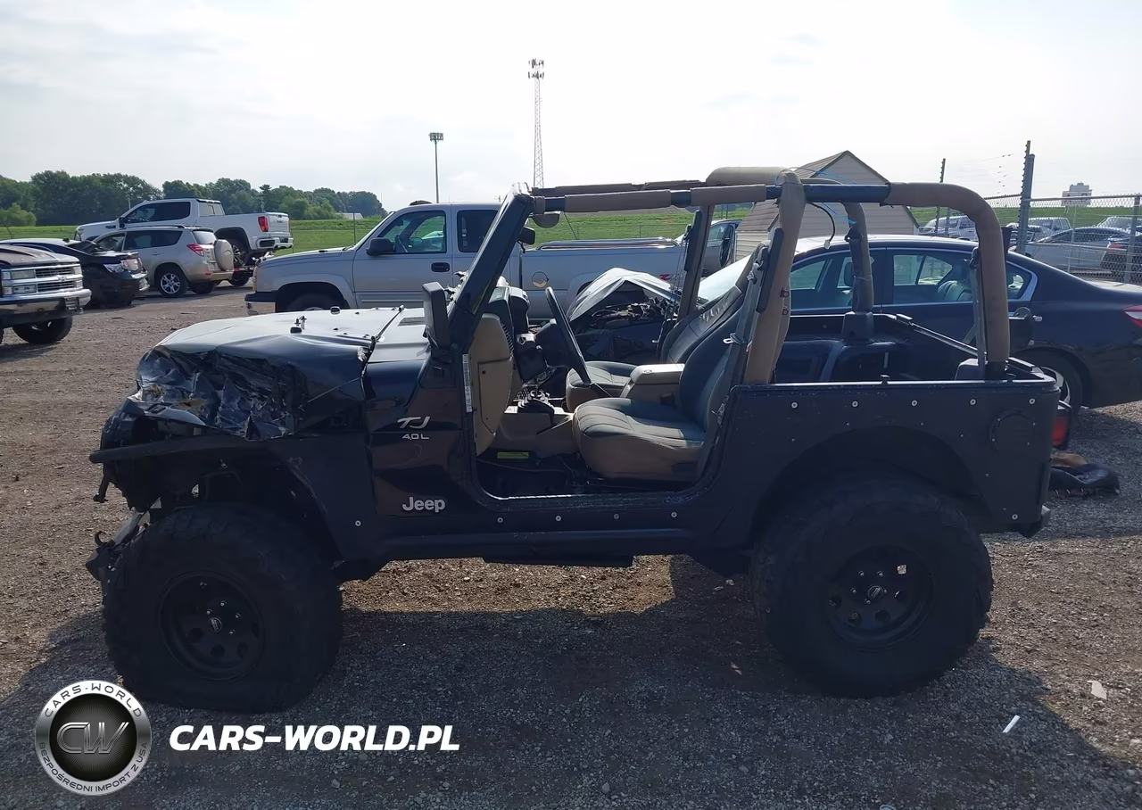 2000 Jeep Wrangler Sahara VIN:1J4FA59S7YP702662 - 15