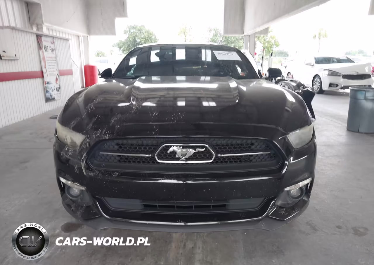 2015 Ford Mustang Ecoboost VIN:1FA6P8TH3F5435487 - 12