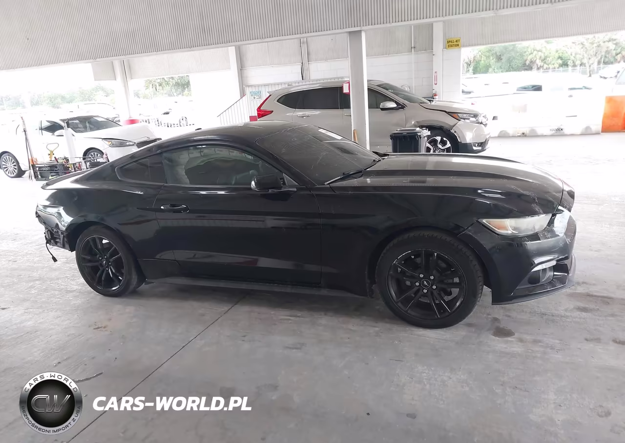 2015 Ford Mustang Ecoboost VIN:1FA6P8TH3F5435487 - 13