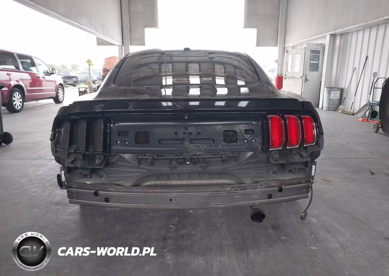 2015 Ford Mustang Ecoboost VIN:1FA6P8TH3F5435487 - 16