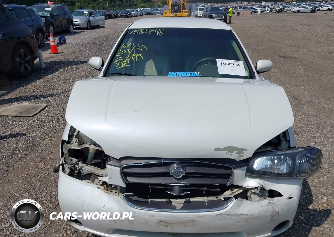 2001 Nissan Maxima Gxe VIN:JN1CA31D41T825734 - 12