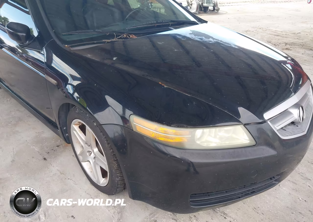 2006 Acura Tl VIN:19UUA66236A024954 - 6