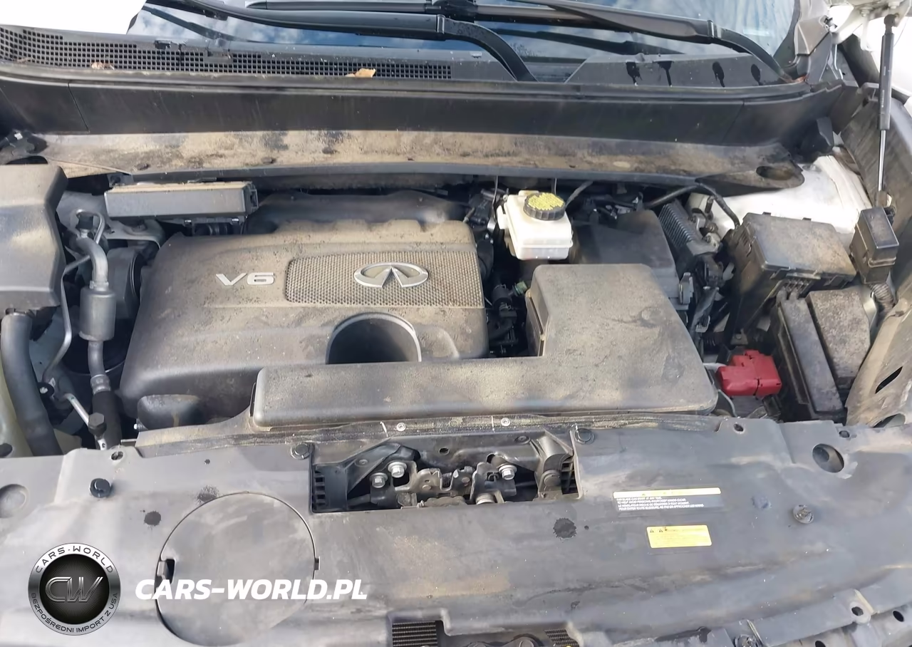 2019 Infiniti Qx60 Luxe VIN:5N1DL0MN0KC520825 - 10