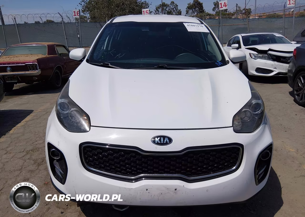 2019 Kia Sportage Lx VIN:KNDPMCAC5K7510349 - 11