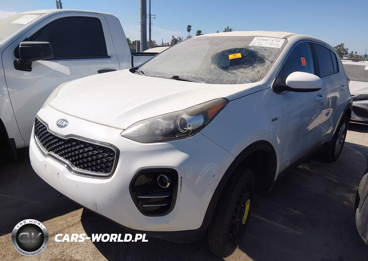 2019 Kia Sportage Lx VIN:KNDPMCAC5K7510349 - 2