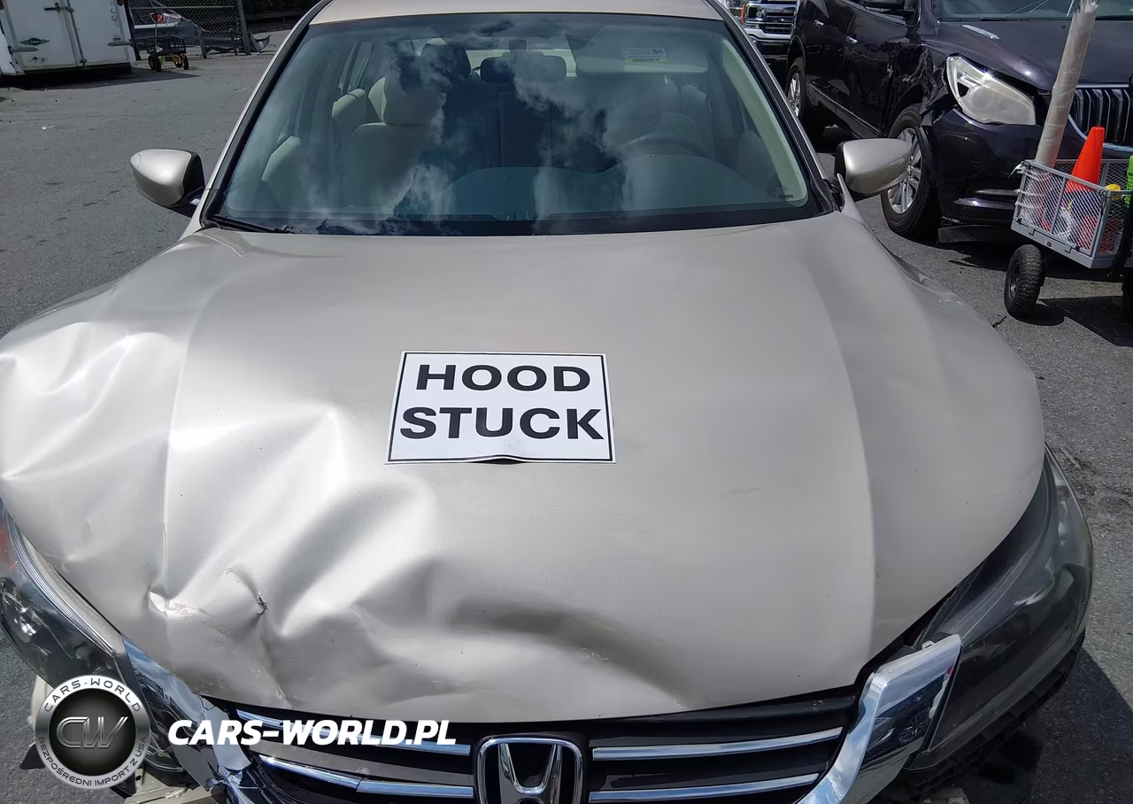 2013 Honda Accord Lx VIN:1HGCR2F34DA246096 - 10