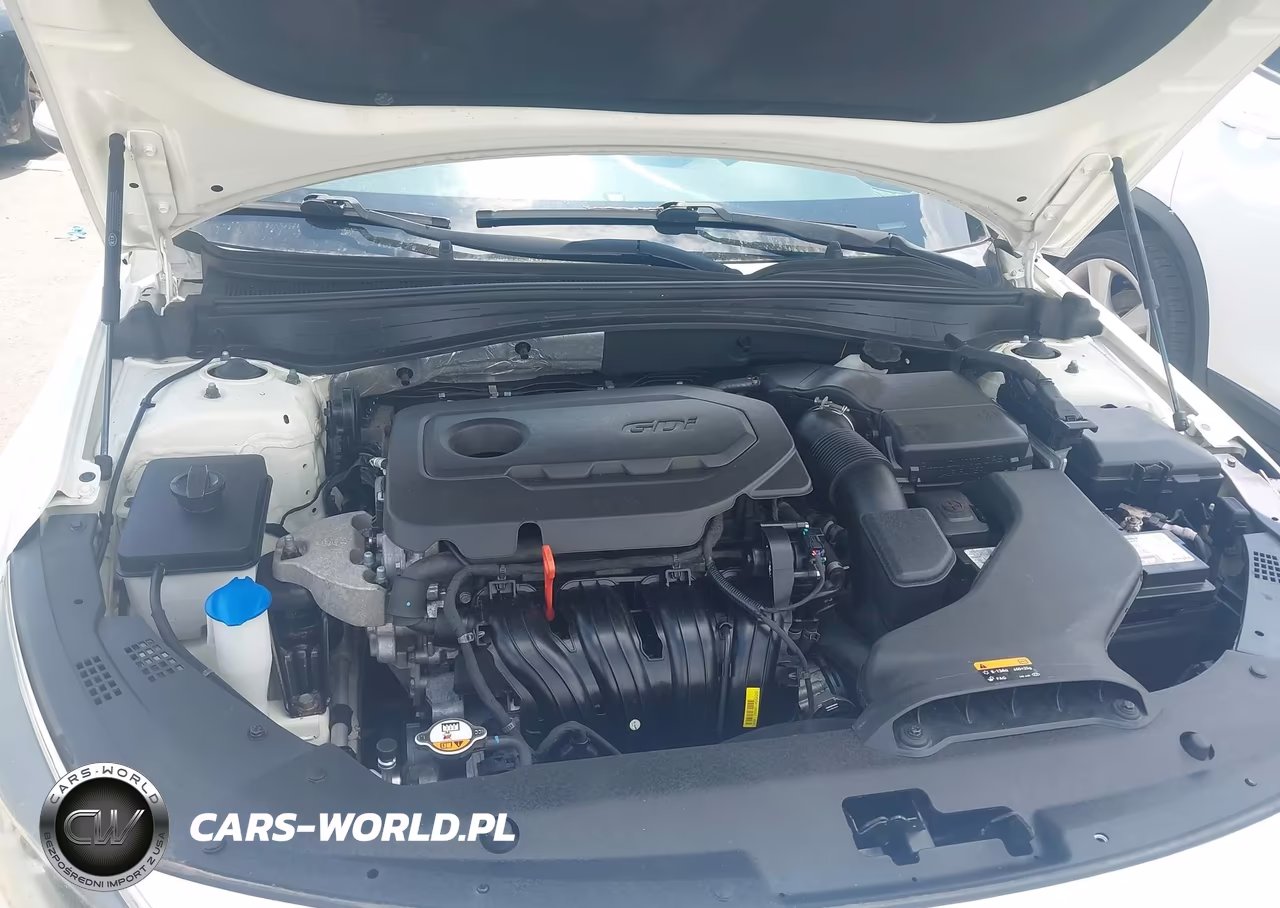 2016 Kia Optima Lx VIN:KNAGT4L33G5102311 - 10