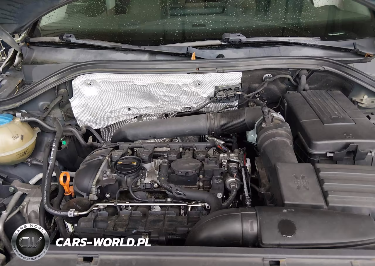 2009 Volkswagen Tiguan S-Se-Sel VIN:WVGAV75N09W513029 - 10