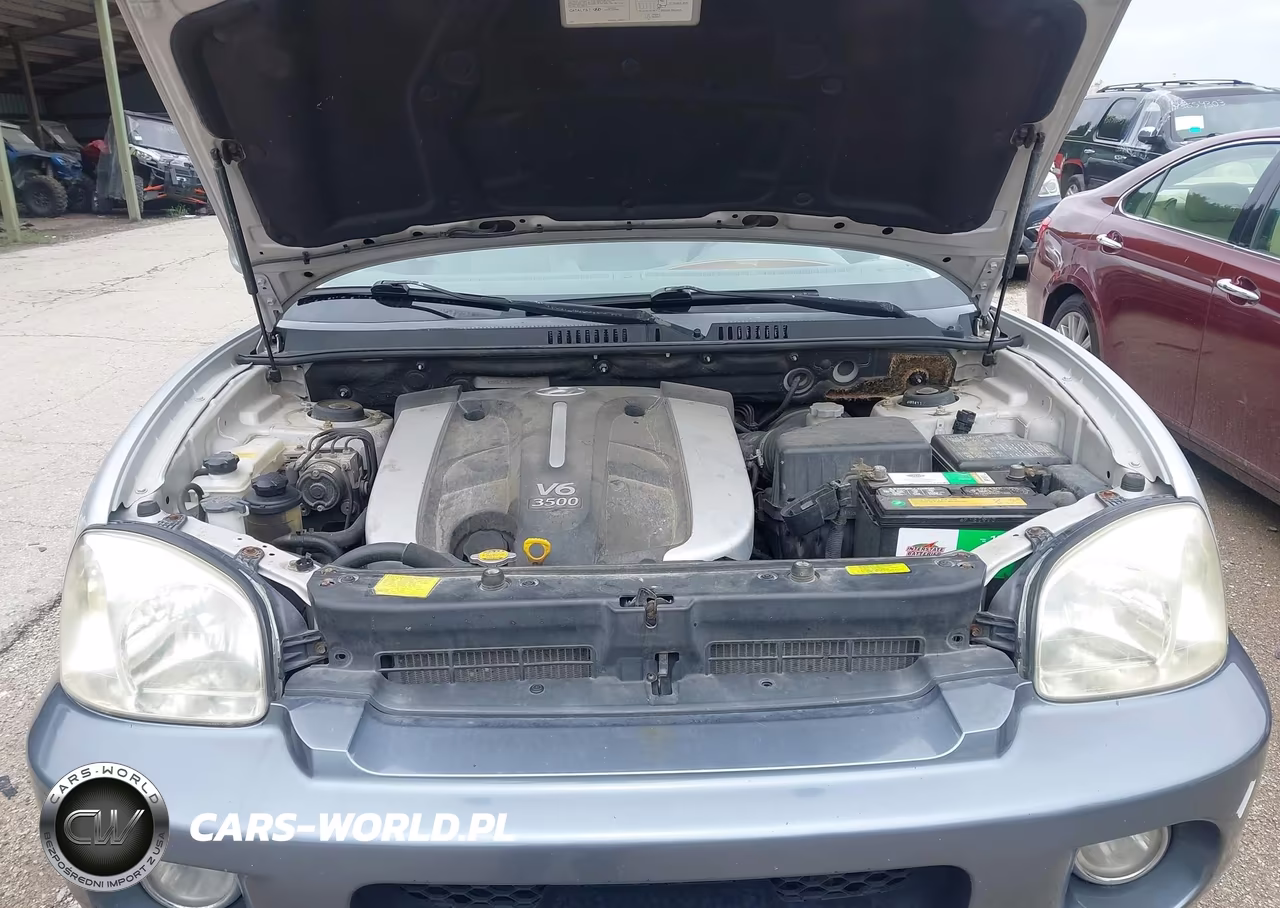 2005 Hyundai Santa Fe Gls-Lx VIN:KM8SC13E85U857224 - 10