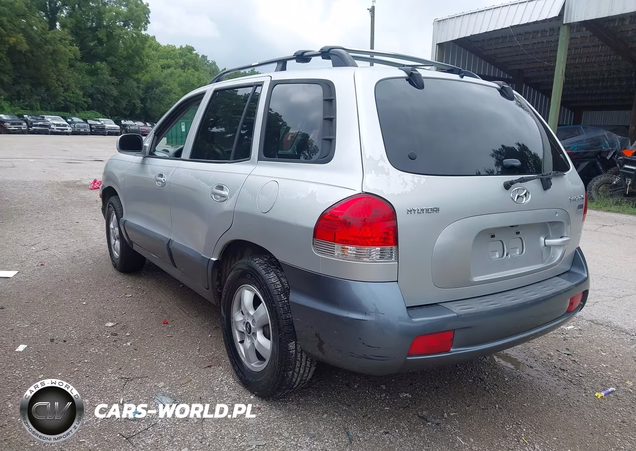 2005 Hyundai Santa Fe Gls-Lx VIN:KM8SC13E85U857224 - 3