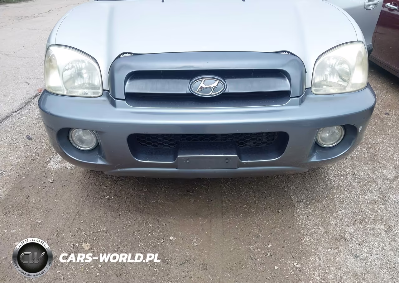 2005 Hyundai Santa Fe Gls-Lx VIN:KM8SC13E85U857224 - 6