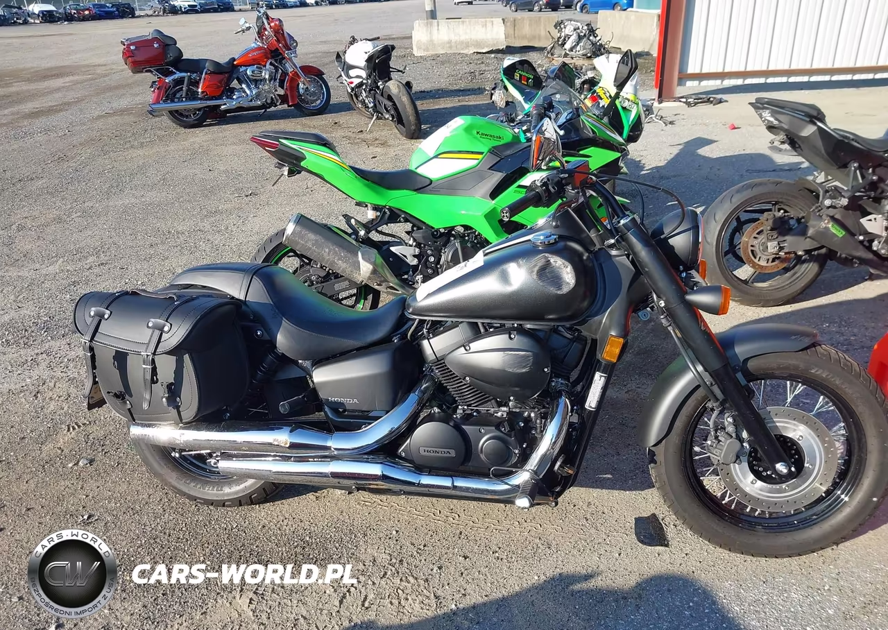 2023 Honda Vt750 C2B VIN:JH2RC5374PK300439 - 12