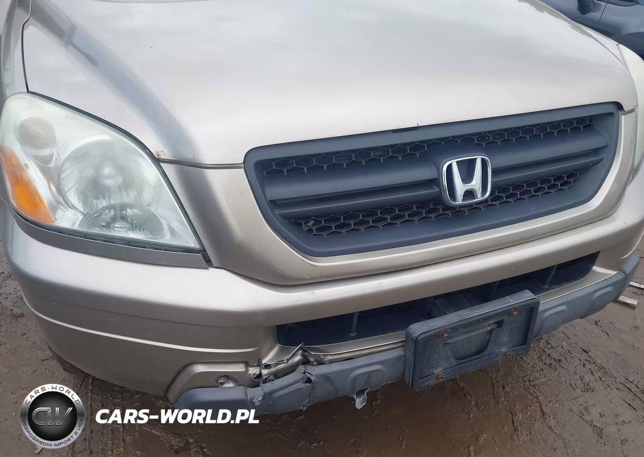 2005 Honda Pilot Ex VIN:2HKYF18425H503831 - 12