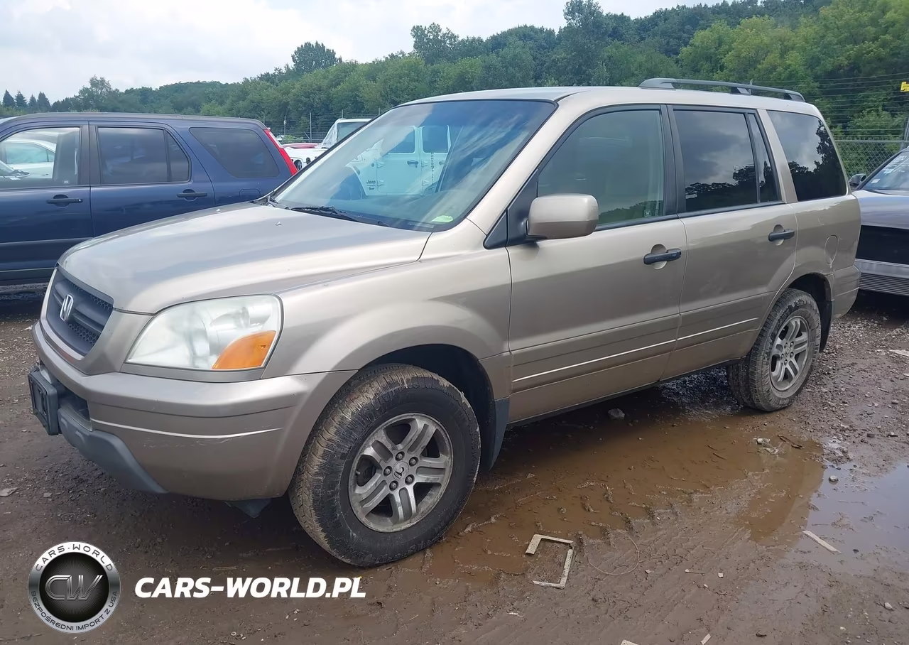 2005 Honda Pilot Ex VIN:2HKYF18425H503831 - 2