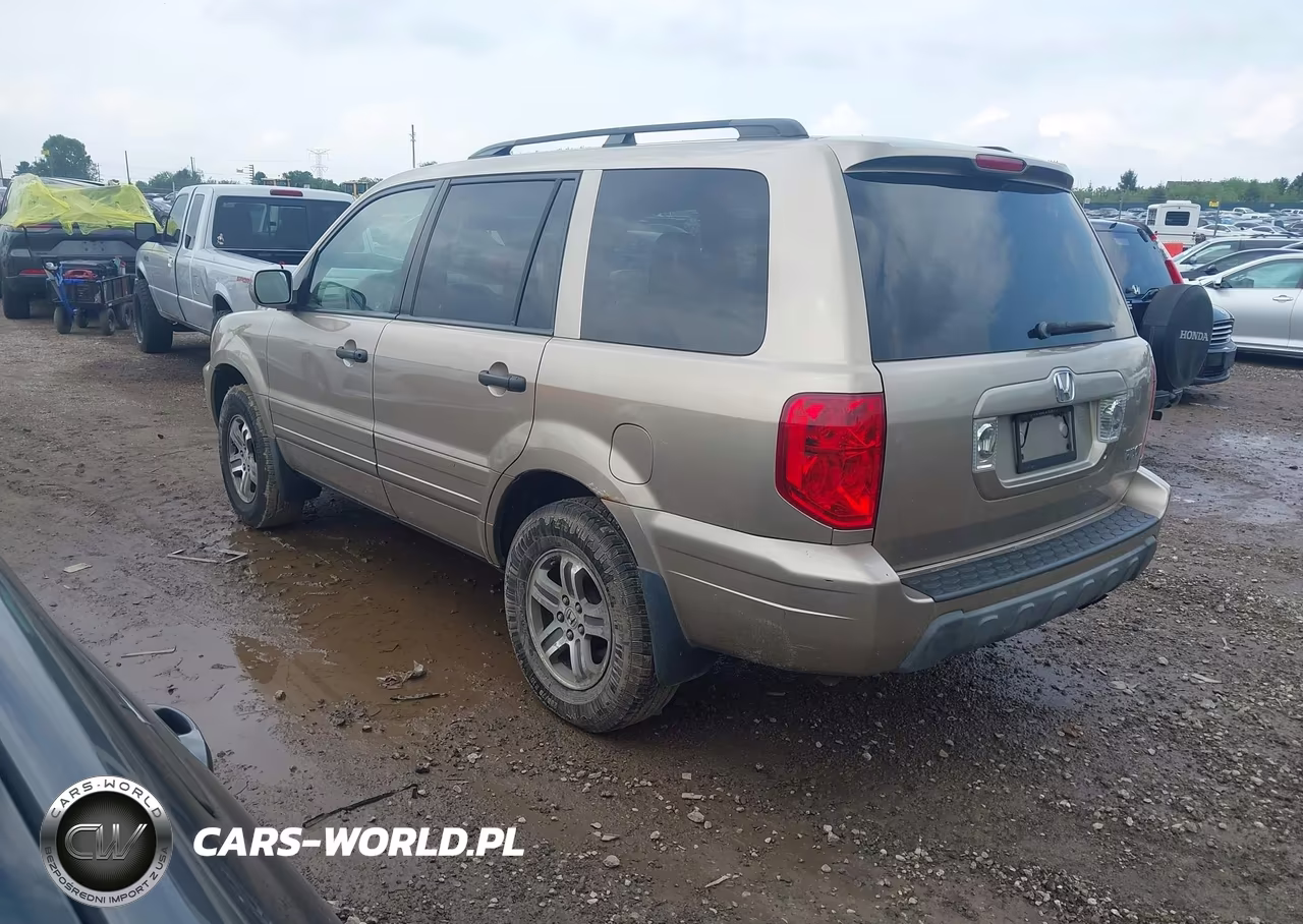 2005 Honda Pilot Ex VIN:2HKYF18425H503831 - 3