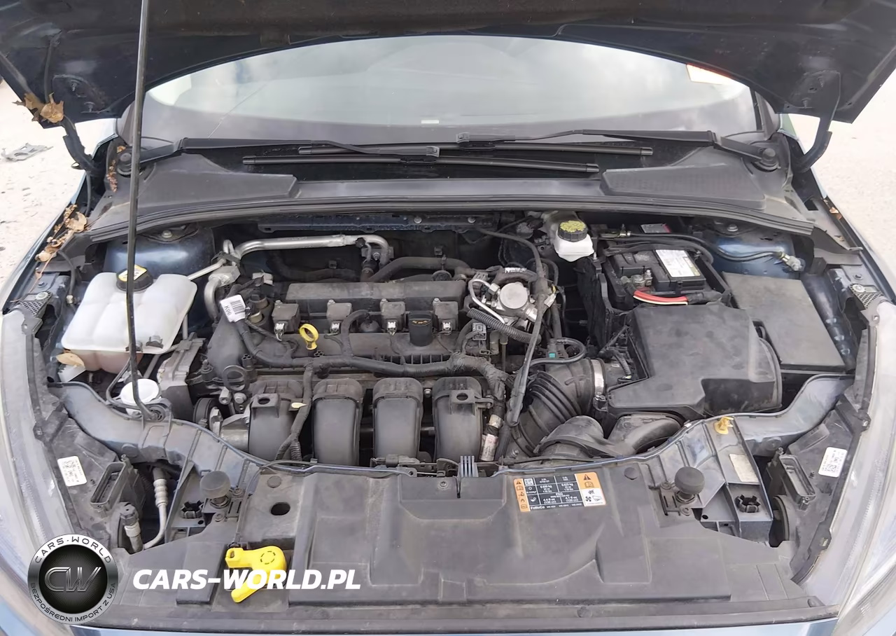 2018 Ford Focus Sel VIN:1FADP3H26JL230717 - 10