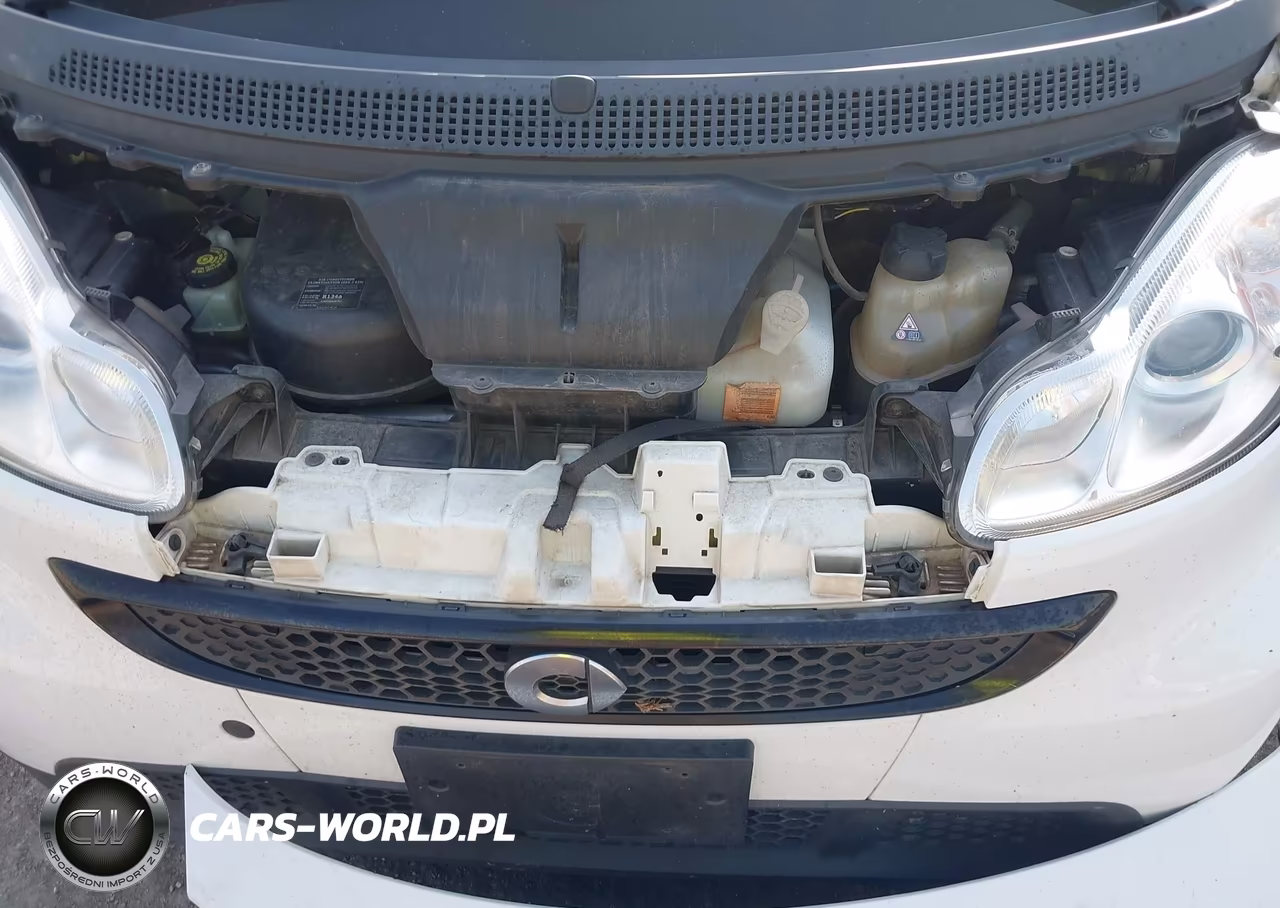 2014 Smart Fortwo Pure VIN:WMEEJ3BA6EK736495 - 10