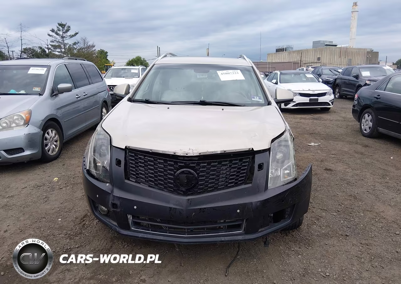 2012 Cadillac Srx Luxury Collection VIN:3GYFNAE32CS513374 - 11