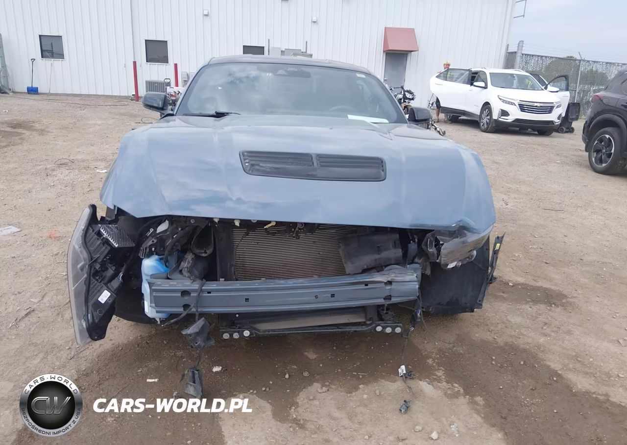 2024 Ford Mustang Gt Premium Fastback VIN:1FA6P8CF1R5411191 - 13