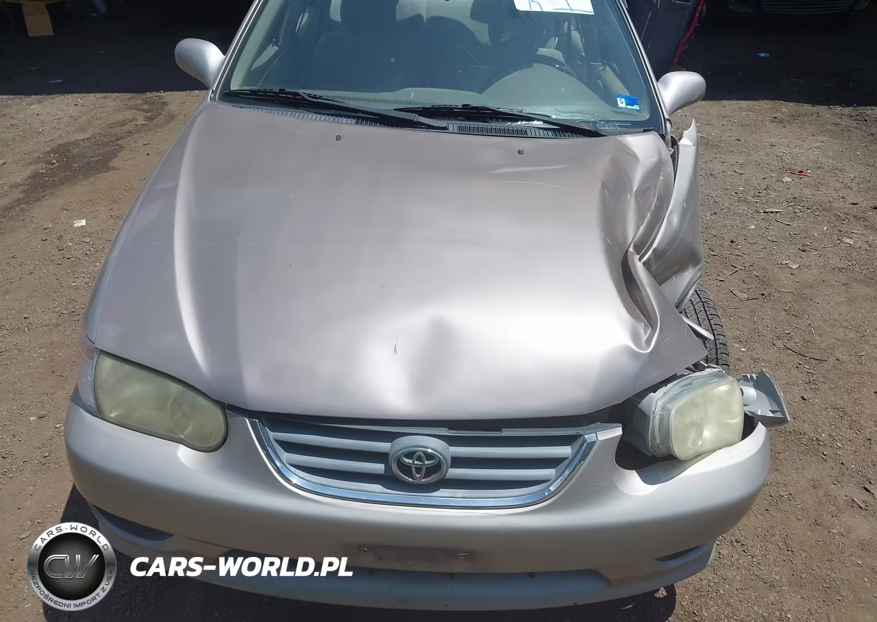 2001 Toyota Corolla Le VIN:2T1BR12E11C506750 - 10