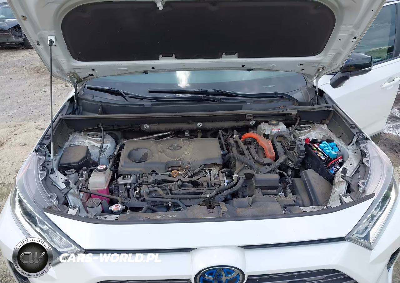 2019 Toyota Rav4 Hybrid Xse VIN:2T3EWRFV7KW008736 - 10