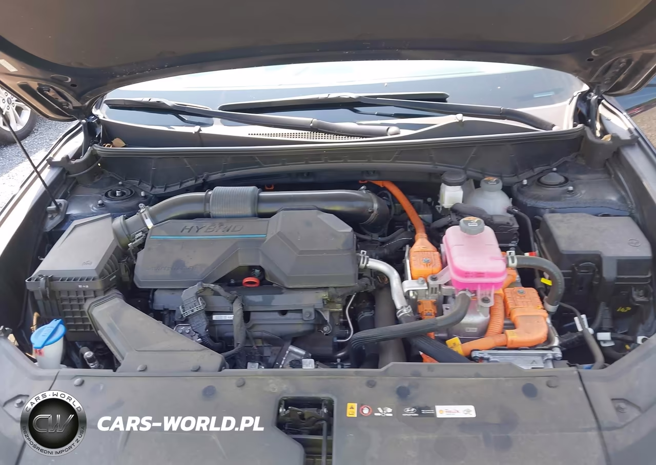 2024 Hyundai Tucson Hybrid Limited VIN:KM8JECD12RU173157 - 10