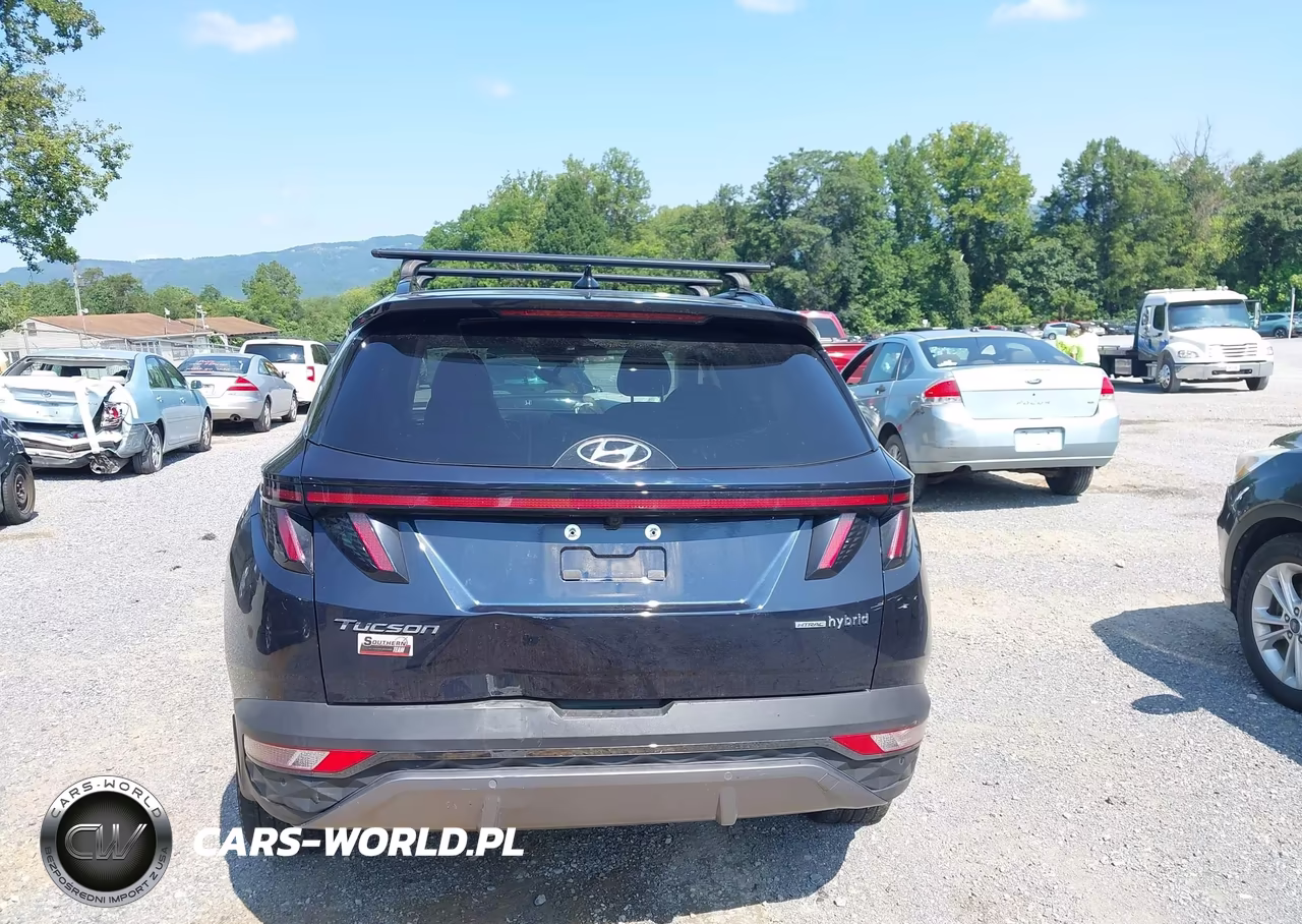 2024 Hyundai Tucson Hybrid Limited VIN:KM8JECD12RU173157 - 17