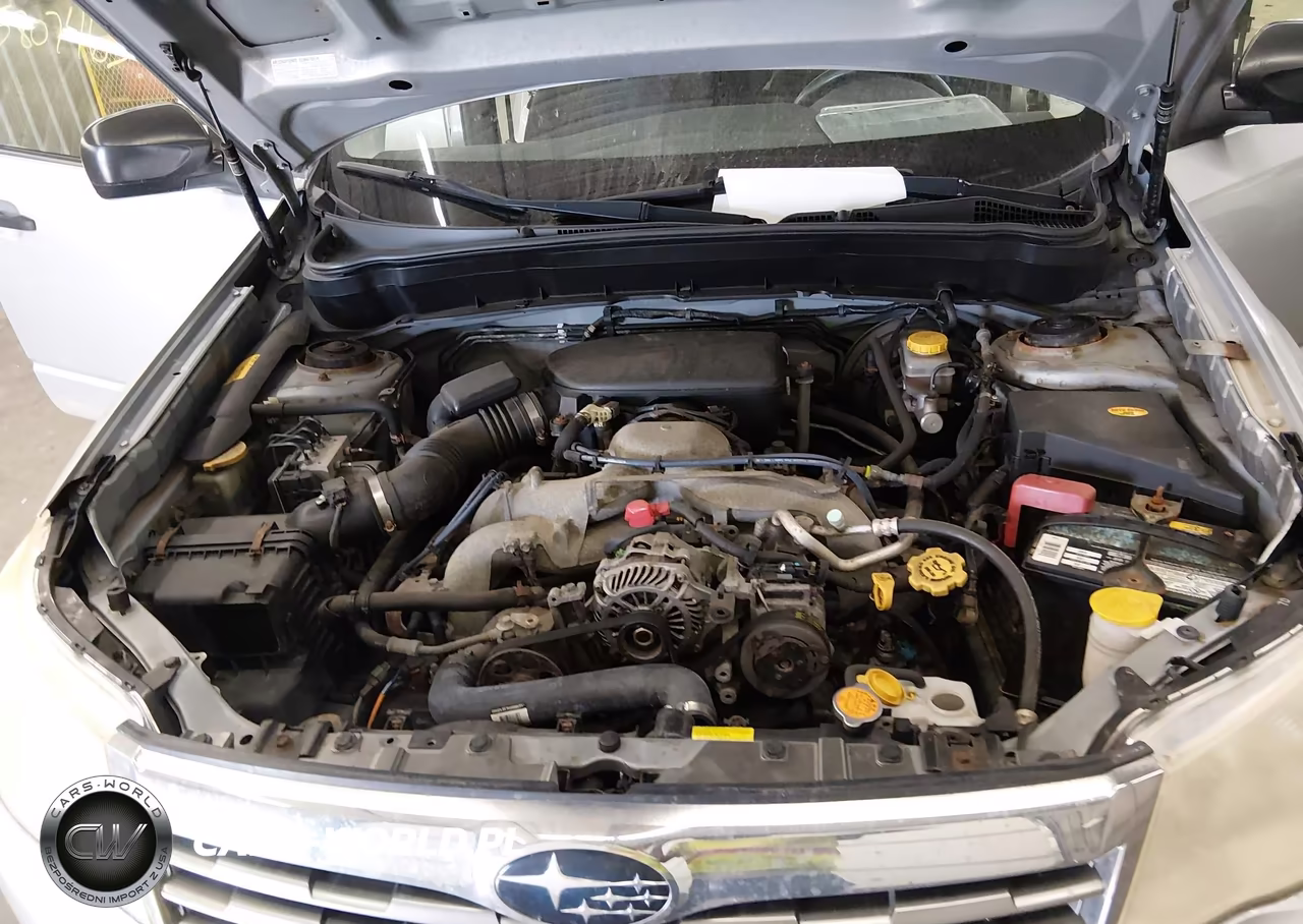 2010 Subaru Forester 2.5X VIN:JF2SH6AC2AH745365 - 10