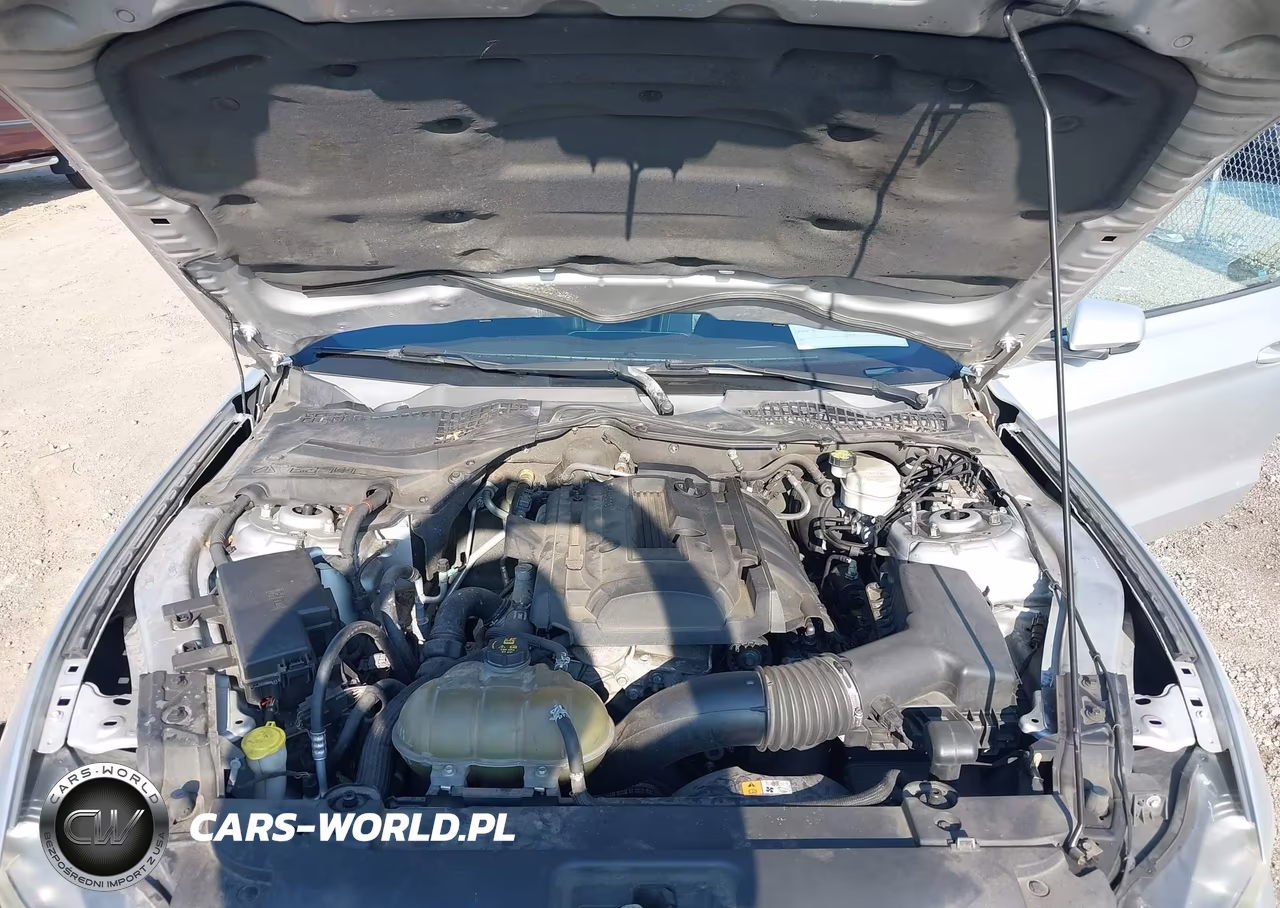 2015 Ford Mustang Ecoboost VIN:1FA6P8TH4F5330652 - 10