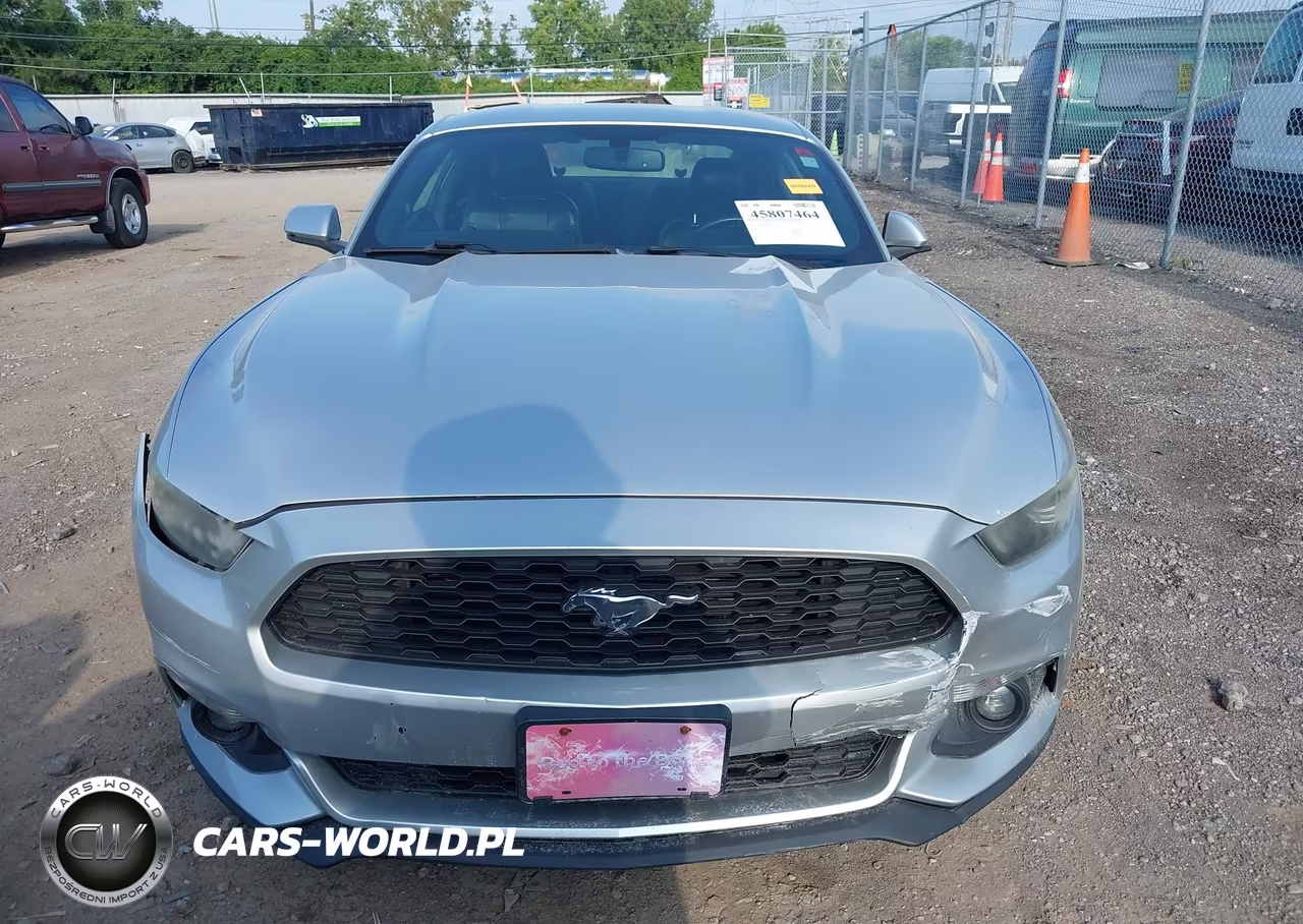 2015 Ford Mustang Ecoboost VIN:1FA6P8TH4F5330652 - 12